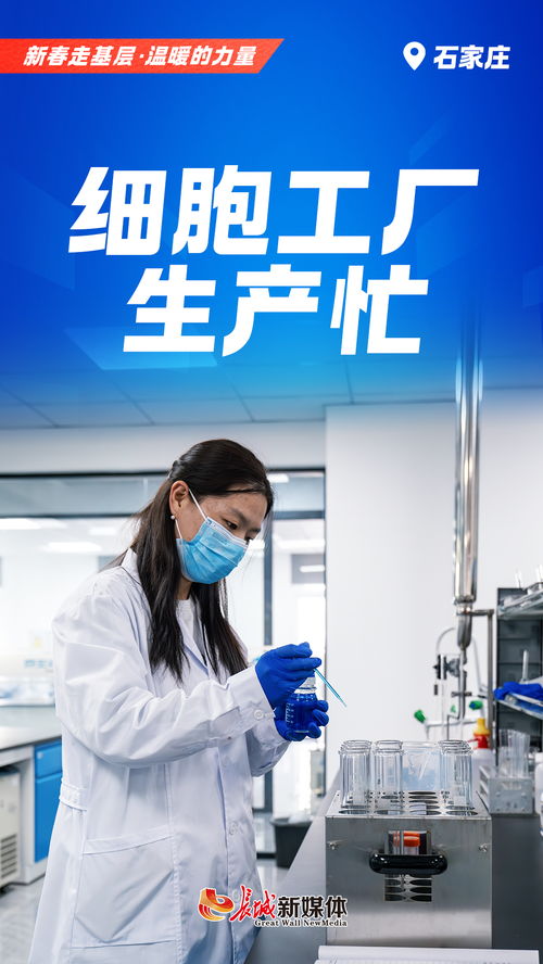衡水新聞網